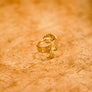 The Eagle Ring - Solid 18k Gold