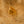 The Bison Ring - 18k Gold Plated